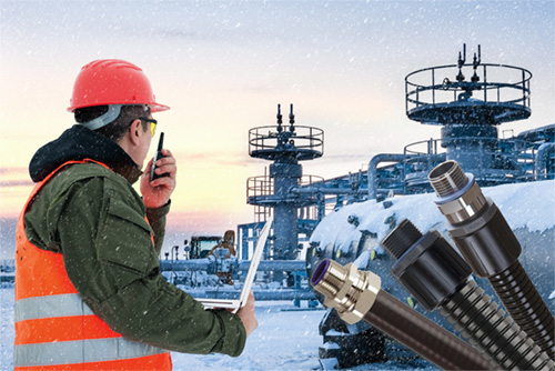 Blog Website Thumbnail.jpg